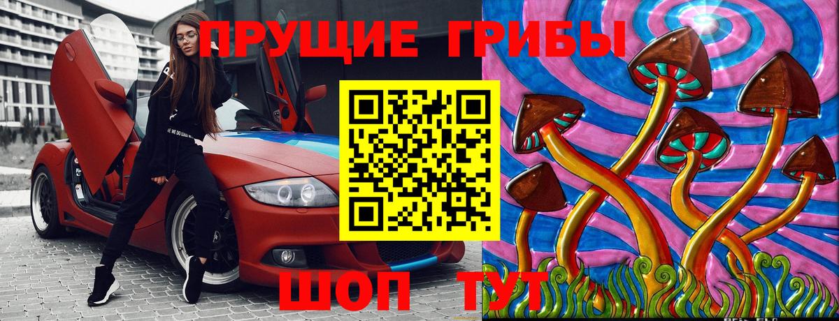 Псилоцибиновые грибы Cubensis Алейск