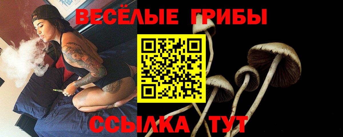 Алейск  Галлюциногенные грибы мухоморы  Вход с VPN 